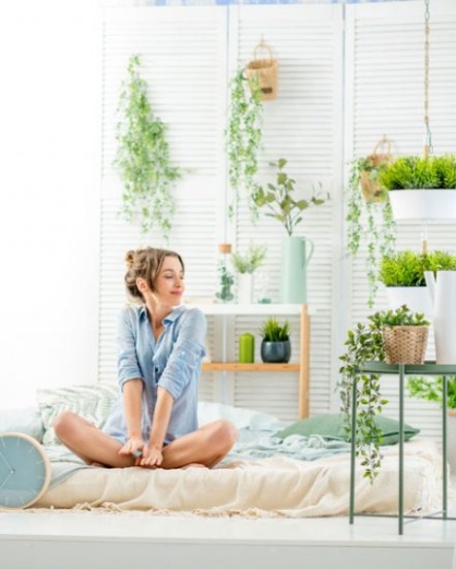 Backdate Dekor 0 Pflanzen Im Schlafzimmer - Diese Arten Verbessern Ihren Schlaf  