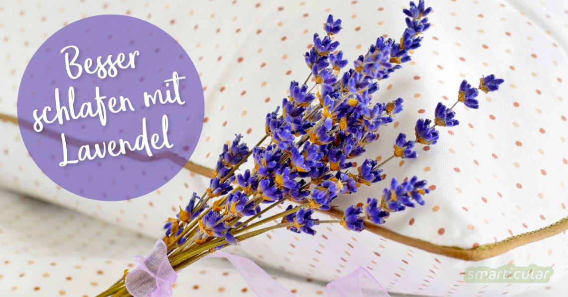 lavendelöl im schlafzimmer gefährlich Niche Utama Home Besser schlafen mit Lavendel: Die besten Tipps und Rezepte