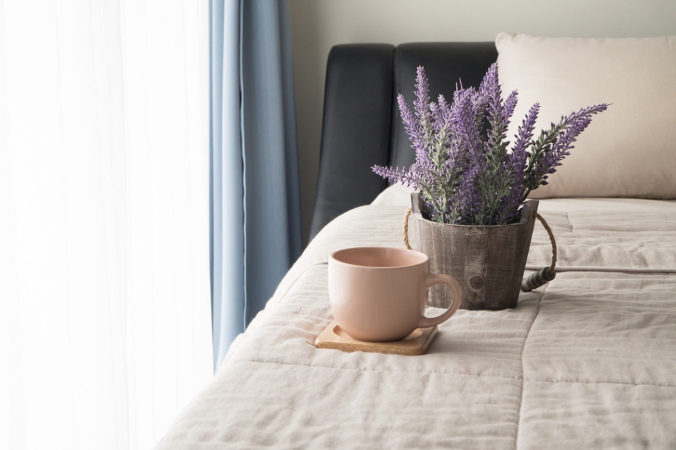 lavendel im schlafzimmer Niche Utama Home Diese Pflanzen solltest du nicht in dein Schlafzimmer stellen