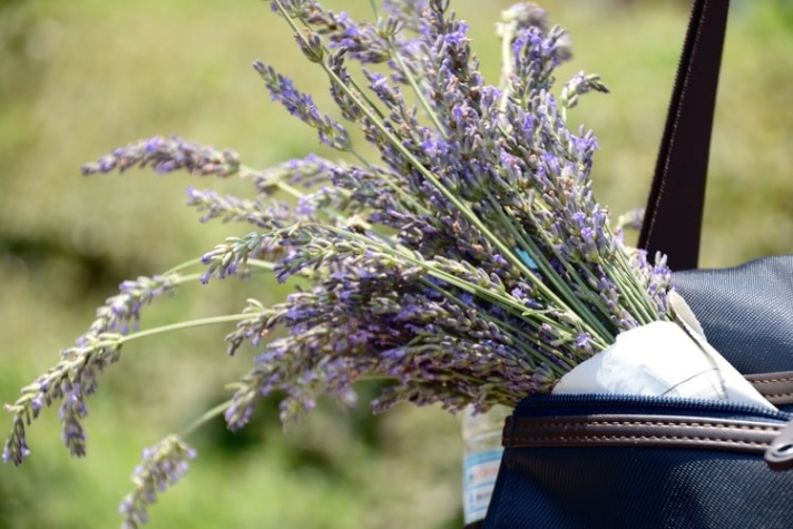 lavendel im schlafzimmer gefährlich Niche Utama Home Lavendel Wirkung auf Schlaf und Nebenwirkungen [ Fakten]